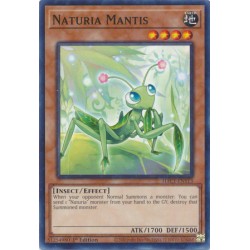 Hidden Arsenal: Chapter 1 - Naturia Mantis