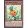 Hidden Arsenal: Chapter 1 - Naturia Pineapple