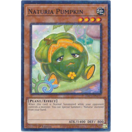 Hidden Arsenal: Chapter 1 - Naturia Pumpkin