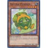 Hidden Arsenal: Chapter 1 - Naturia Pumpkin