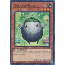 Hidden Arsenal: Chapter 1 - Naturia Rock