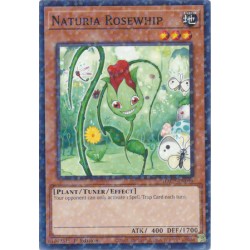 Hidden Arsenal: Chapter 1 - Naturia Rosewhip