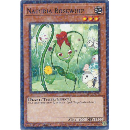 Hidden Arsenal: Chapter 1 - Naturia Rosewhip