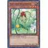 Hidden Arsenal: Chapter 1 - Naturia Rosewhip