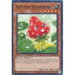 Hidden Arsenal: Chapter 1 - Naturia Strawberry