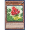 Hidden Arsenal: Chapter 1 - Naturia Strawberry