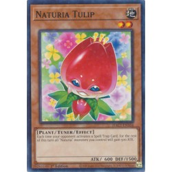 Hidden Arsenal: Chapter 1 - Naturia Tulip