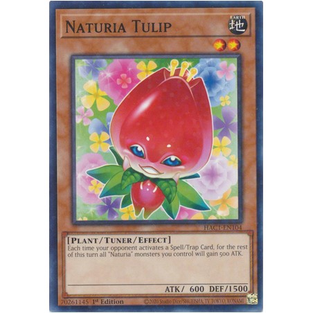 Hidden Arsenal: Chapter 1 - Naturia Tulip