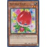 Hidden Arsenal: Chapter 1 - Naturia Tulip