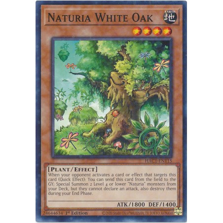 Hidden Arsenal: Chapter 1 - Naturia White Oak