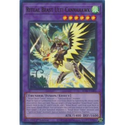 Terminal Revenge - Ritual Beast Ulti-Cannahawk