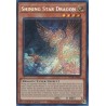 Terminal Revenge - Shining Star Dragon