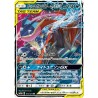 Tag All Stars - Greninja & Zoroark GX