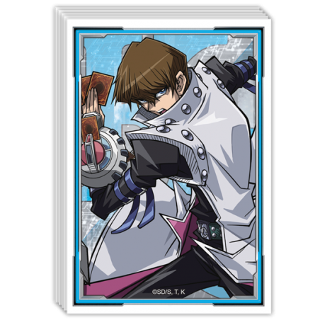 Protectores Seto Kaiba