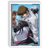 Protectores Seto Kaiba