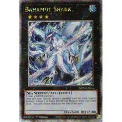 Dueling Mirrors - Bahamut Shark