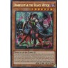 Dueling Mirrors - Diabellstar the Black Witch