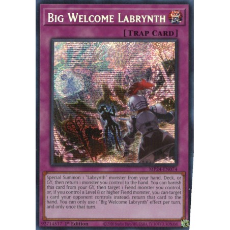 Dueling Mirrors - Big Welcome Labrynth