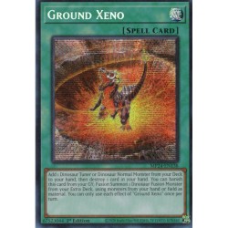 Dueling Mirrors - Ground Xeno