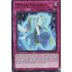 Dueling Mirrors - Mimesis Elephant