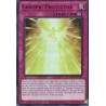 Dueling Mirrors - Canopic Protector