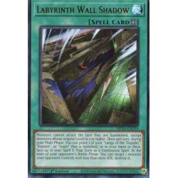 Dueling Mirrors - Labyrinth Wall Shadow