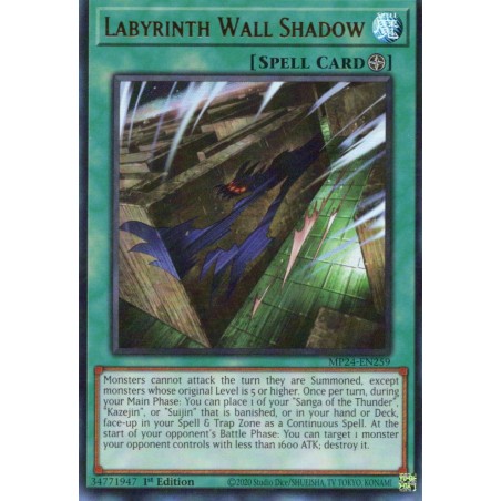 Dueling Mirrors - Labyrinth Wall Shadow