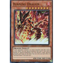 Dueling Mirrors - Burning Dragon