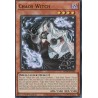 Dueling Mirrors - Chaos Witch