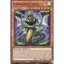 Dueling Mirrors - Cornfield Coatl