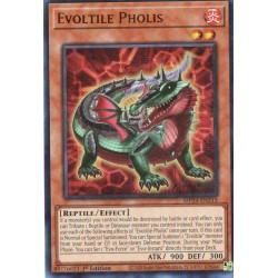 Dueling Mirrors - Evoltile Pholis