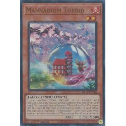 Dueling Mirrors - Mannadium Torrid