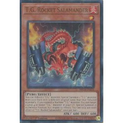 Dueling Mirrors - T.G. Rocket Salamander