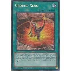 Dueling Mirrors - Ground Xeno