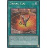 Dueling Mirrors - Ground Xeno