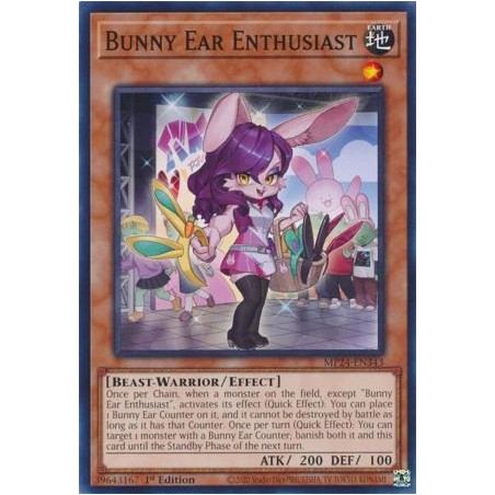 Dueling Mirrors - Bunny Ear Enthusiast