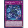 Dueling Mirrors - Loka Samsara