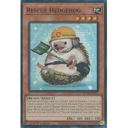 Rage Of The Abyss - Rescue Hedgehog