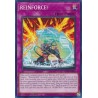 Dueling Mirrors - REINFORCE!