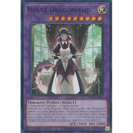 Quarter Century Bonanza - House Dragonmaid