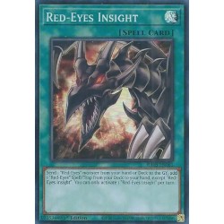 Quarter Century Bonanza - Red-Eyes Insight