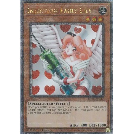 Quarter Century Bonanza - Injection Fairy Lily