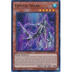 Quarter Century Bonanza - Crystal Shark