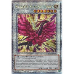 Quarter Century Bonanza - Black Rose Moonlight Dragon