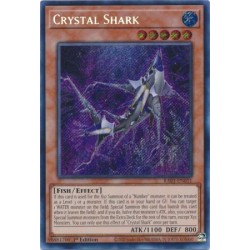 Quarter Century Bonanza - Crystal Shark