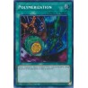 Quarter Century Bonanza - Polymerization