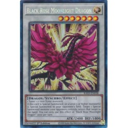 Quarter Century Bonanza - Black Rose Moonlight Dragon