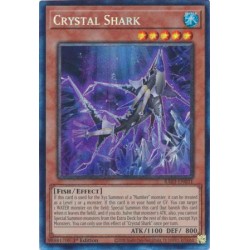 Quarter Century Bonanza - Crystal Shark