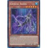 Quarter Century Bonanza - Crystal Shark