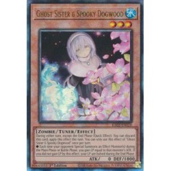 Quarter Century Bonanza - Ghost Sister & Spooky Dogwood